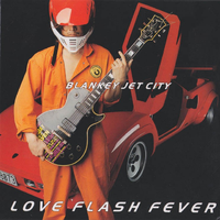 LOVE FLASH FEVER