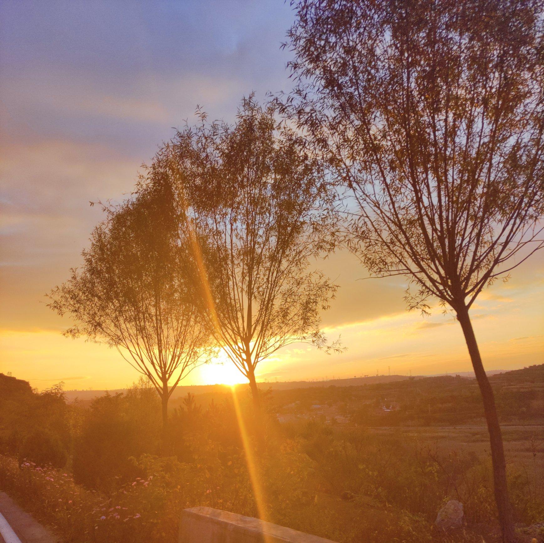 蒙面-胆怯（亦非提 remix）