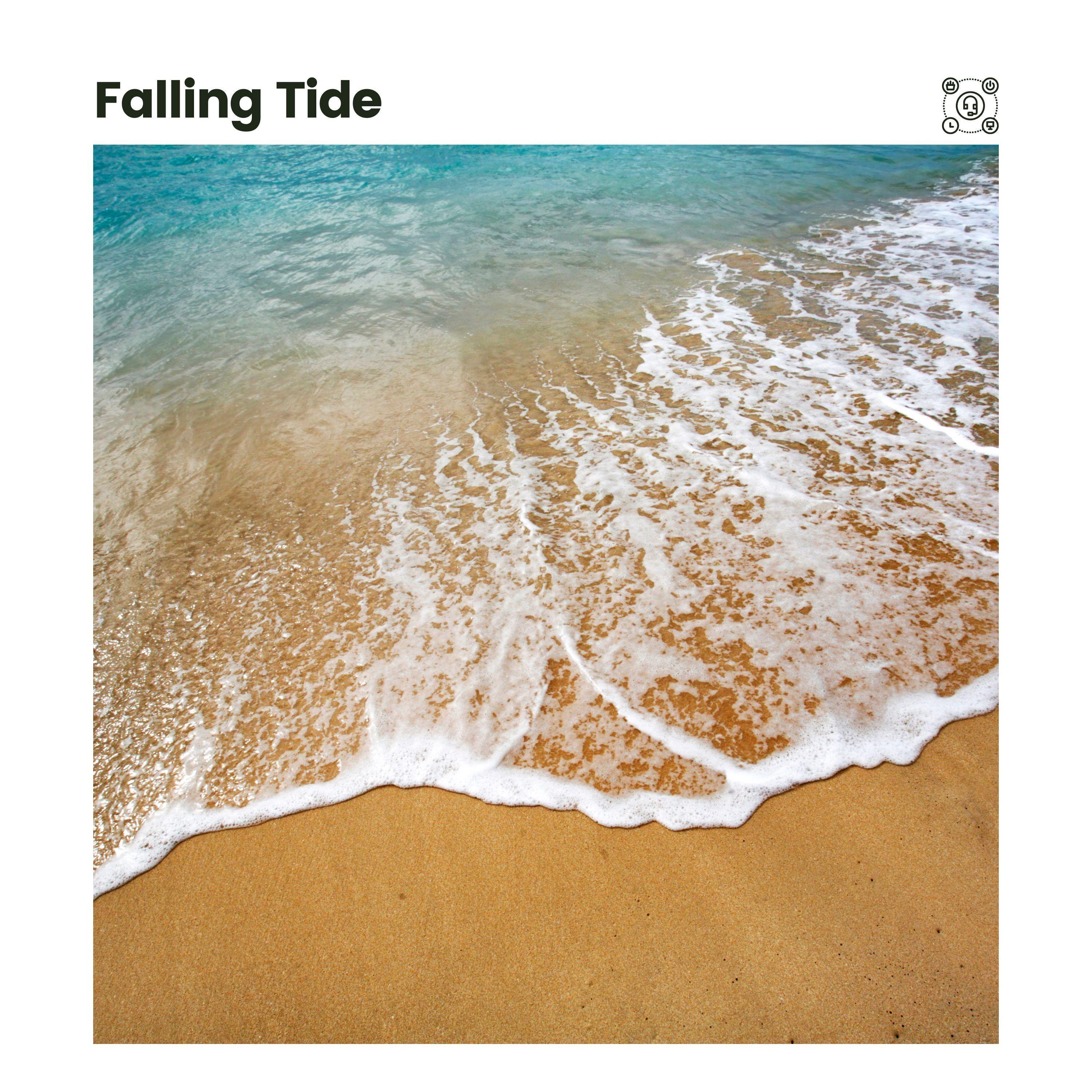 Sea Shells by the Sea Shore