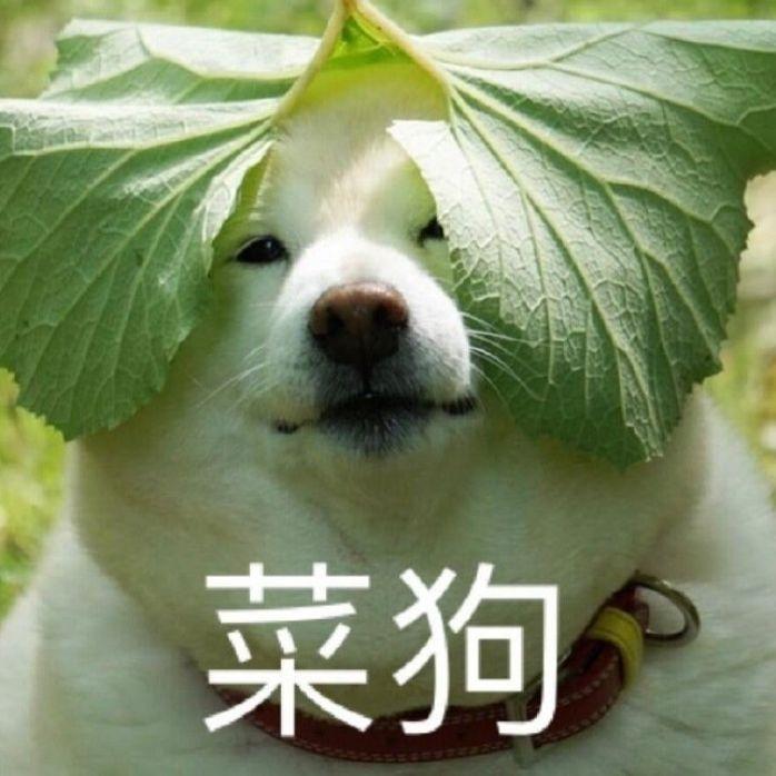 无字碑(翻张靓颖)封面