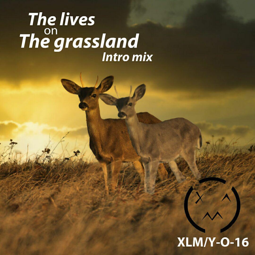 The lives on The grassland（Intro mix）