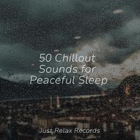 50 Chillout Sounds for Peaceful Sleep