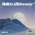 风月 (海南DJ茂 remix)封面