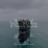 Stress Relief Tracks - 50 - Rain & Nature Sounds