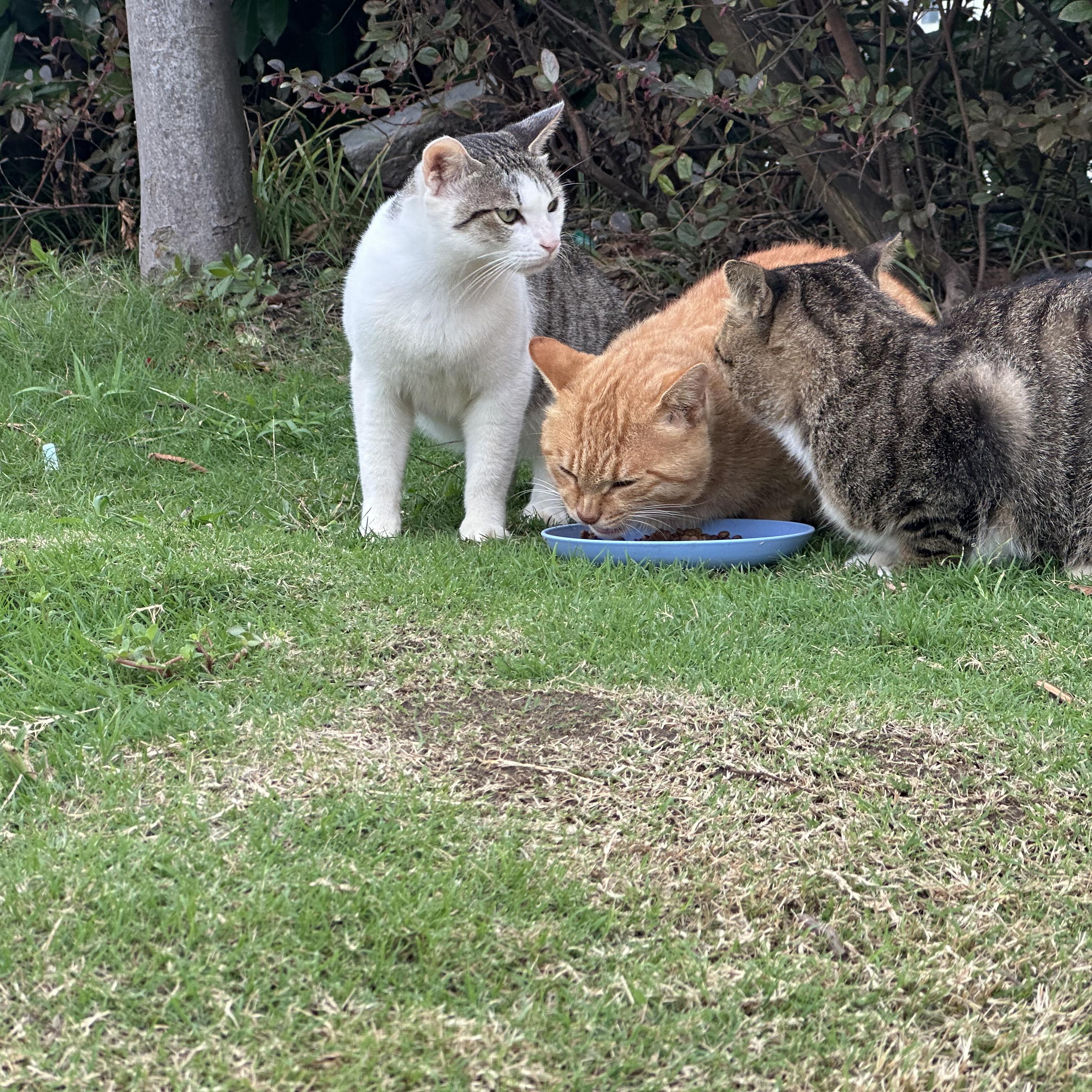 忠孝东路走9遍（cover： Power Station）