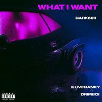 What i want (feat. Iluvfranky & Darkk6oii)