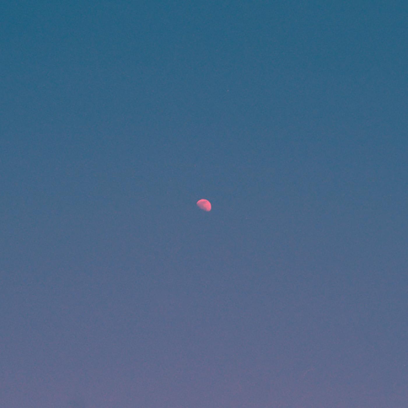 But There's Still The Moon