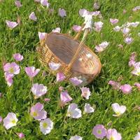 Yuri资料,Yuri最新歌曲,YuriMV视频,Yuri音乐专辑,Yuri好听的歌