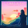 Sondr - It's Not Right (Sondr Remix)