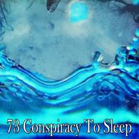 73 Conspiracy To Sleep