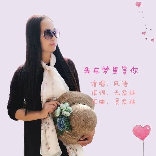 我在梦里等你 (伴奏)封面