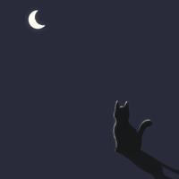 小渔资料,小渔最新歌曲,小渔MV视频,小渔音乐专辑,小渔好听的歌