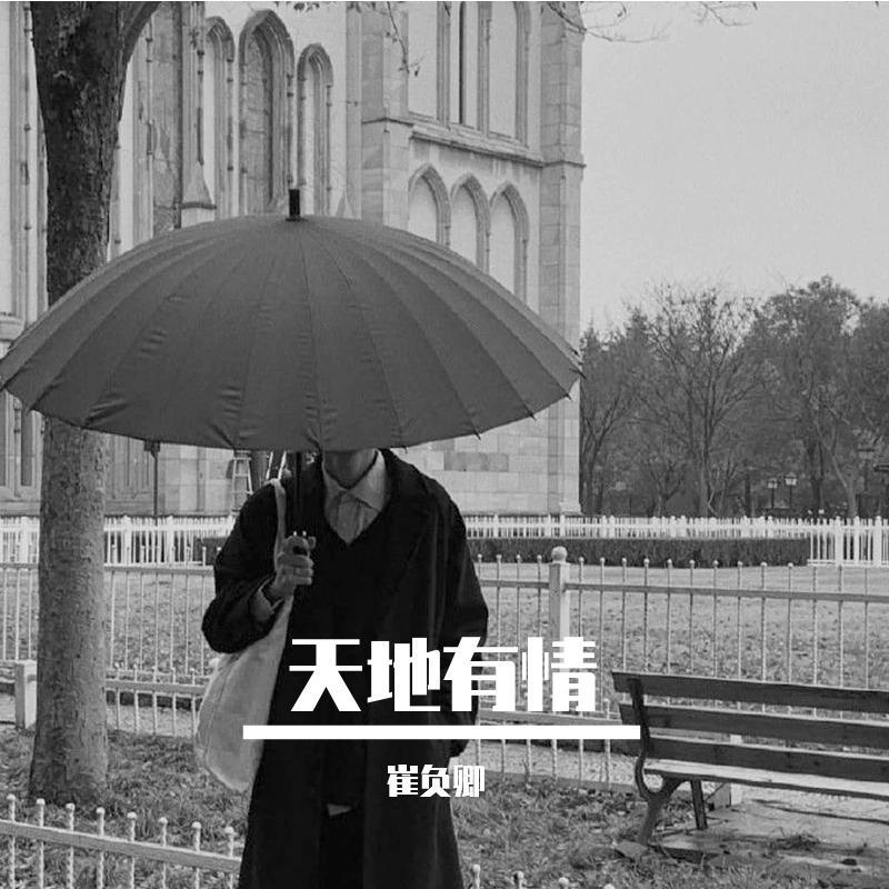 谁可情深如我封面