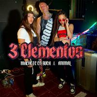 3 Elementos