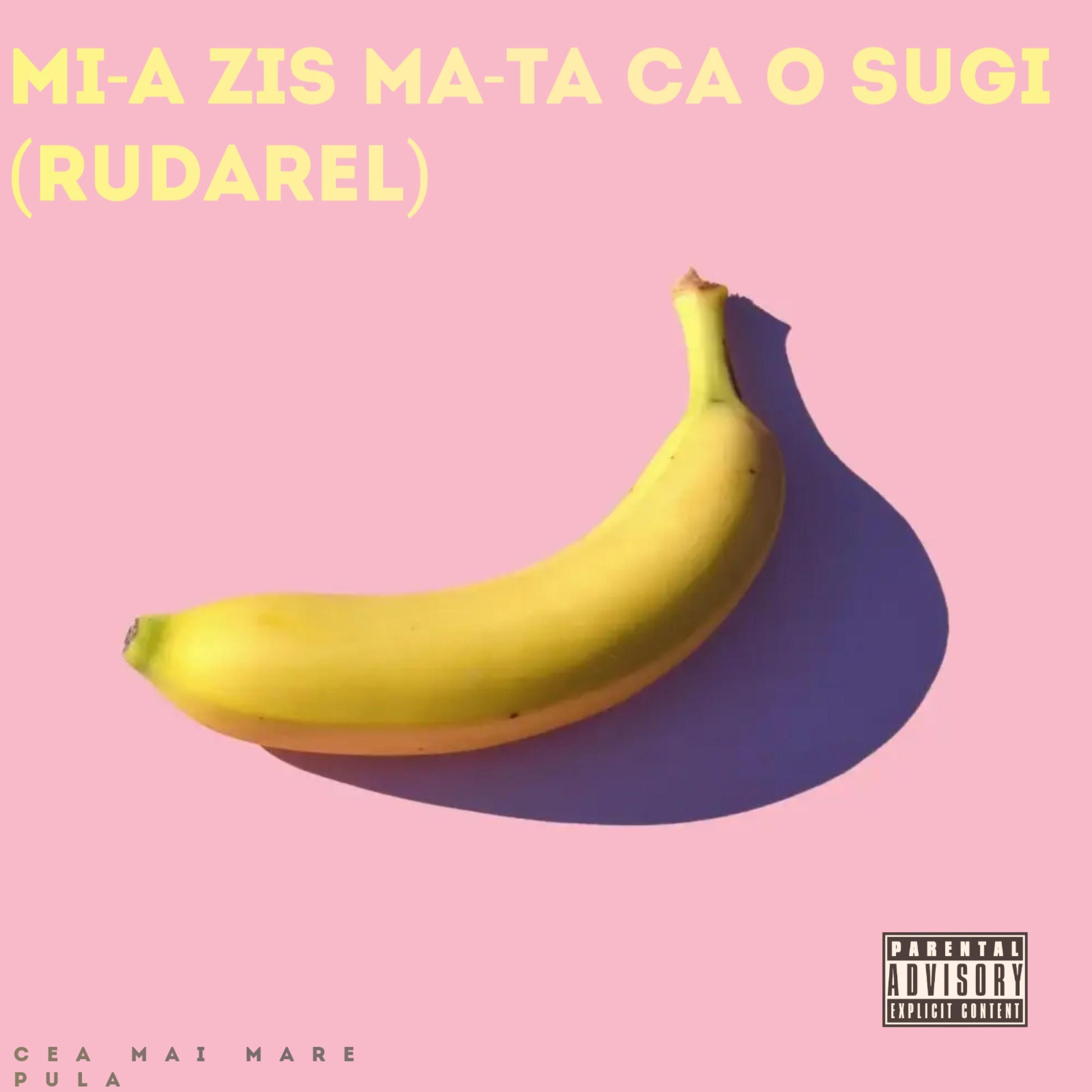 Mi-a zis ma-ta ca o sugi (Rudarel)