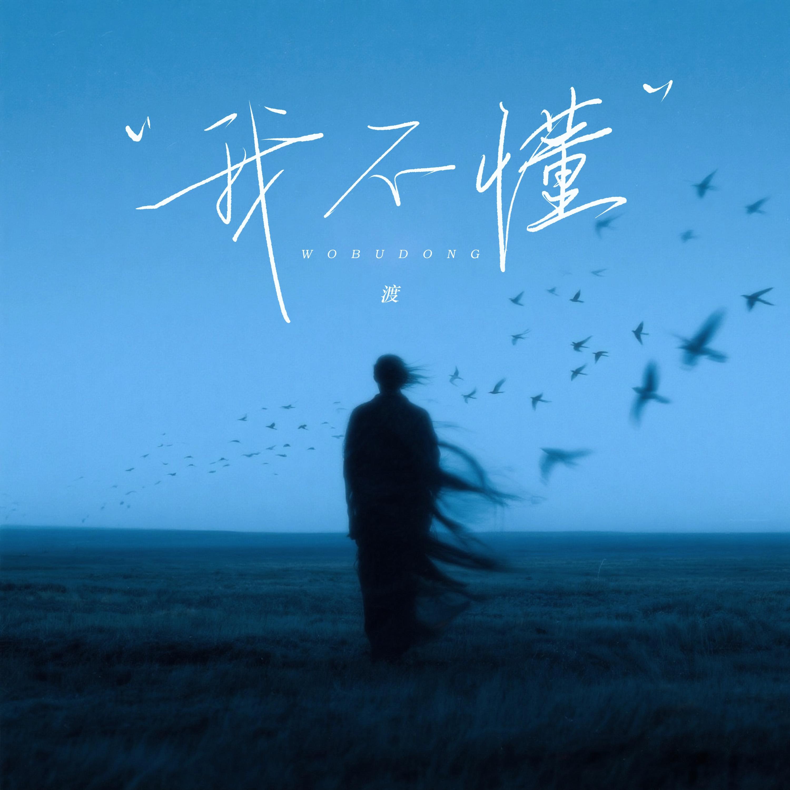 我不懂 (为何爱变得像坐过山车)封面
