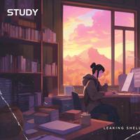 Study