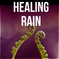 Healing Rain - Pacific Ocean Waves for Well Being, In Harmony with Nature Sounds