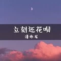立刻还花呗 (DJ版) - 泽亦龙封面