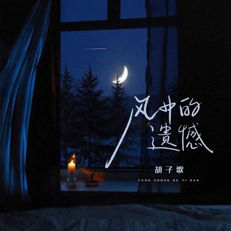风中的遗憾封面