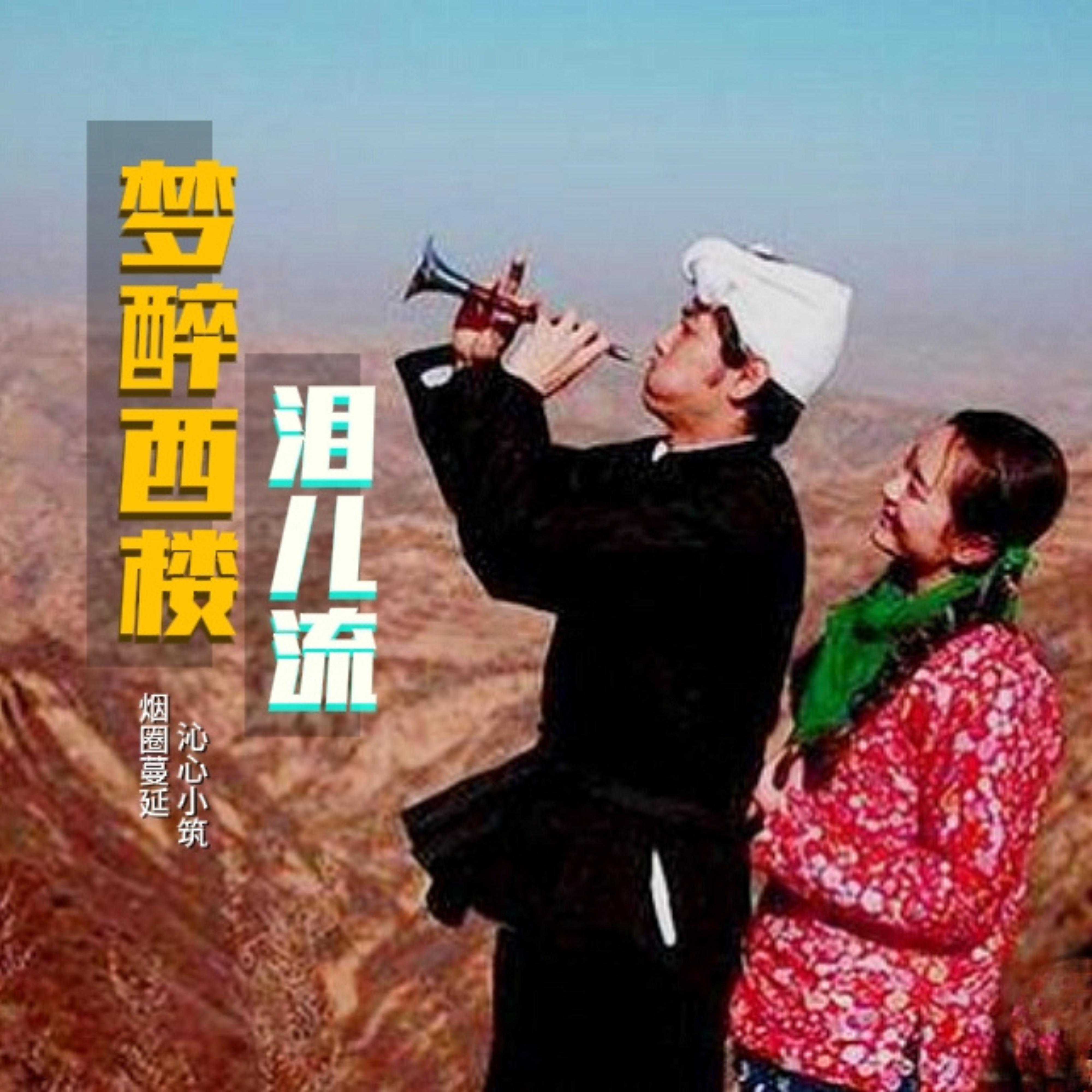 梦醉西楼泪儿流 (对唱版)封面