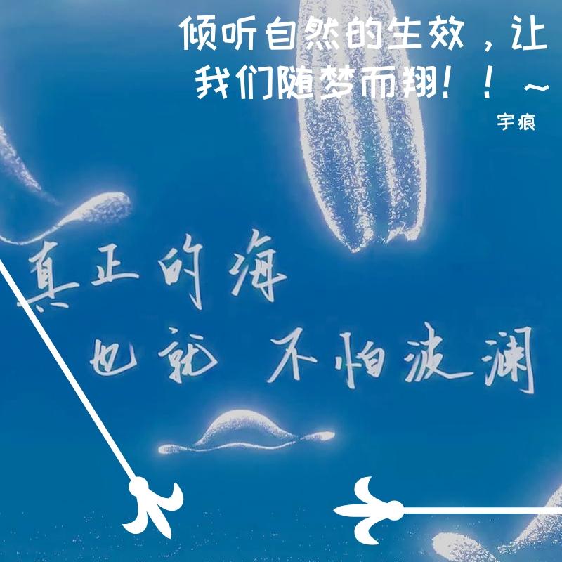 群星-朋友的酒 (DJ版)（宇痕 remix）