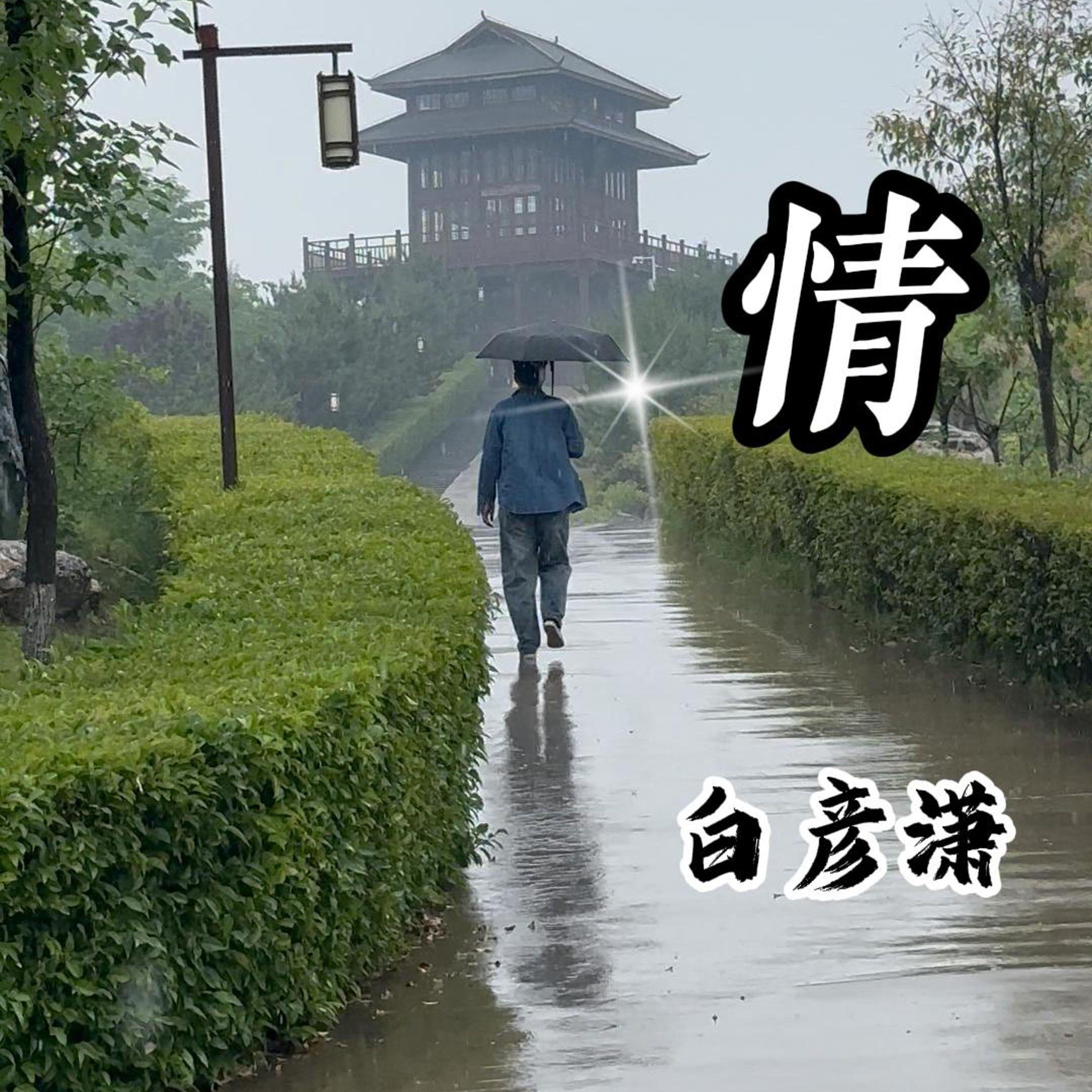 亲爱的母亲 伴奏 - 白彦潇封面