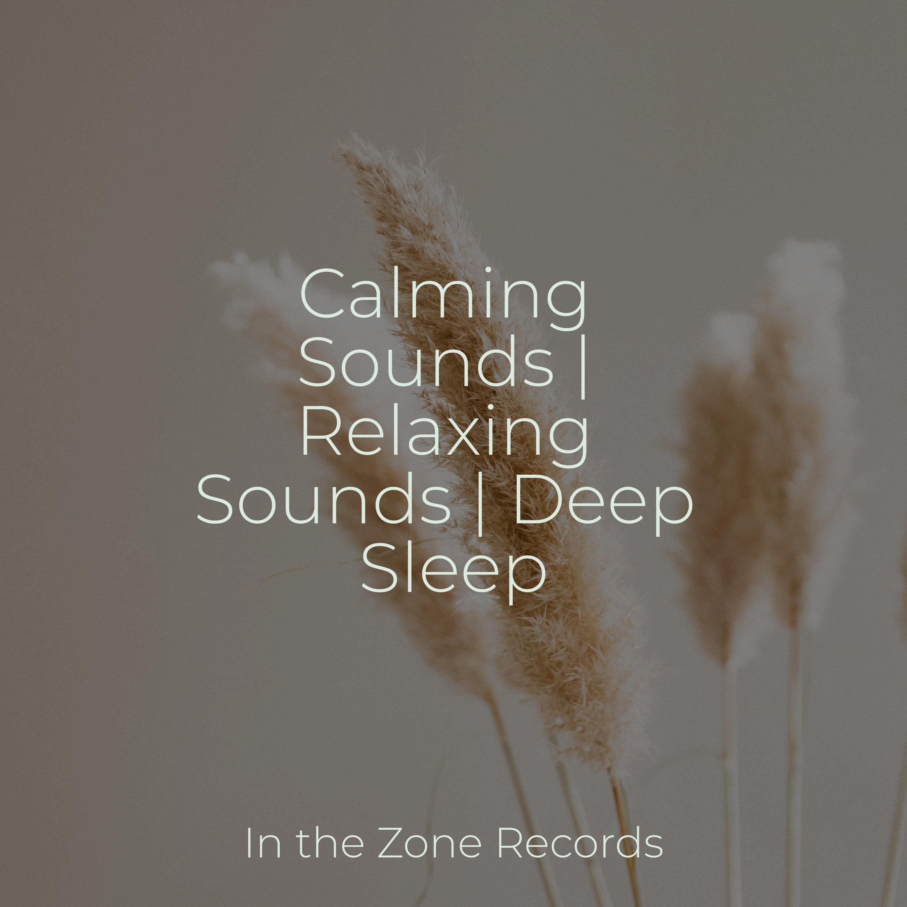 Calming Sounds Relaxing Sounds Deep Sleep Guided Meditation 专辑