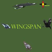 Wingspan