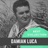 Best Collection Damian Luca