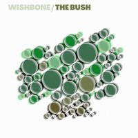 The Bush