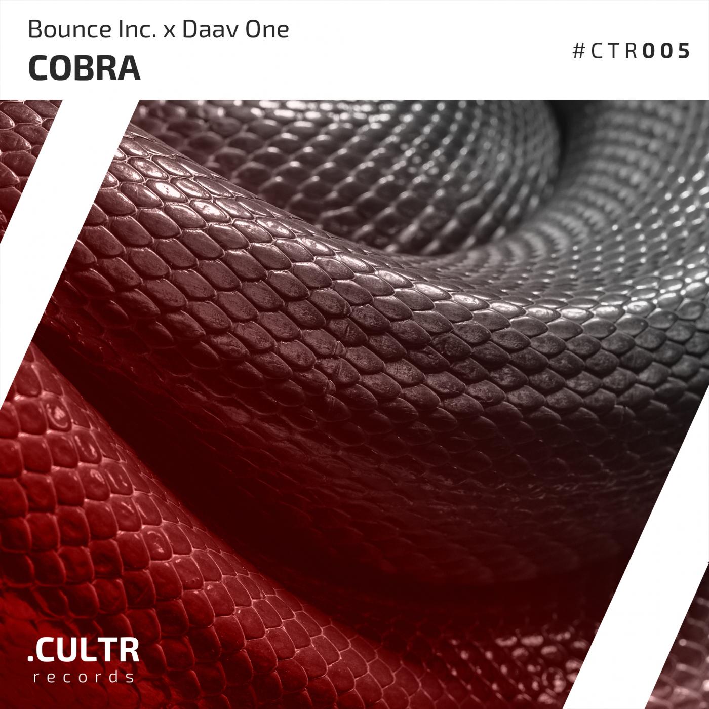 Cobra (Original Mix)