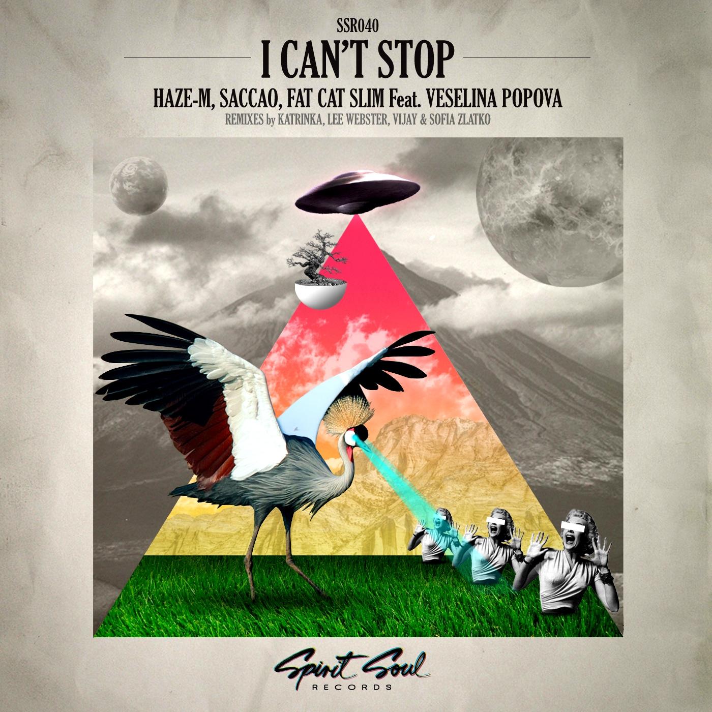 I Can't Stop (Vijay & Sofia Zlatko Remix)