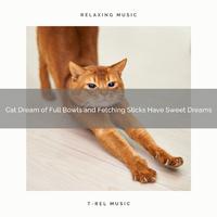 Cat Dream of Full Bowls and Fetching Sticks Have Sweet Dreams