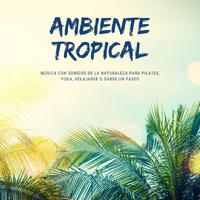 Ambiente Tropical: Música con Sonidos de la Naturaleza para Pilates, Yoga, Relajarse o Darse un Paseo