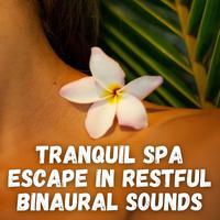 Tranquil Spa Escape in Restful Binaural Sounds