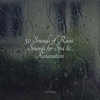 50 Sounds of Rain Sounds for Spa & Relaxation