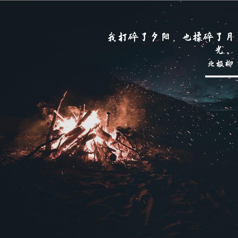 我打碎了夕阳，也揉碎了月光。封面