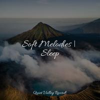 Soft Melodies | Sleep