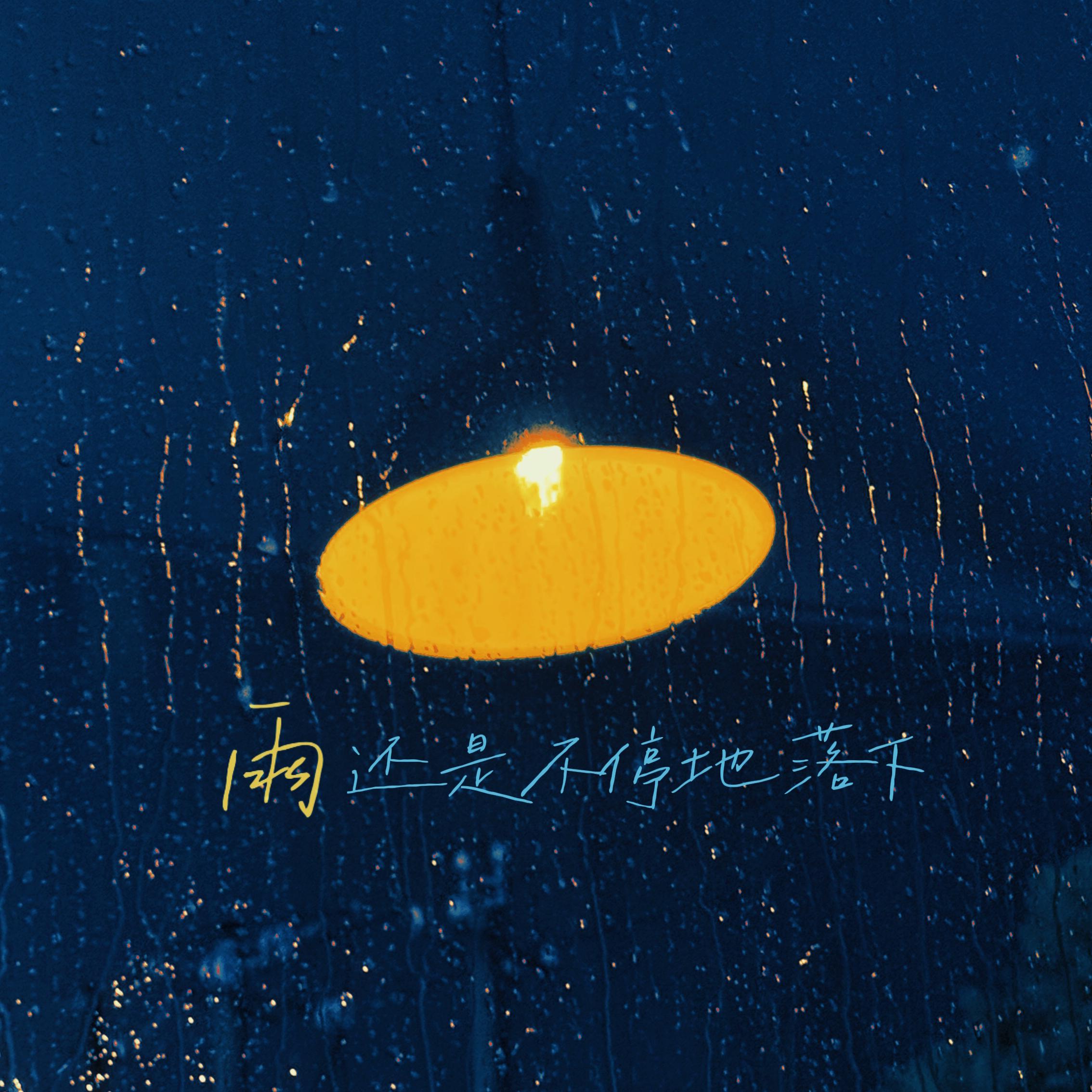 雨还是不停地落下封面