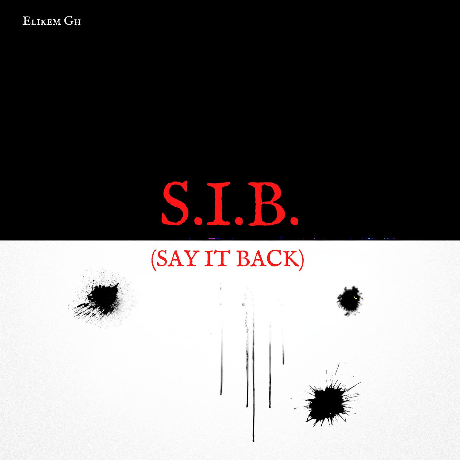 S.I.B. (Say It Back)