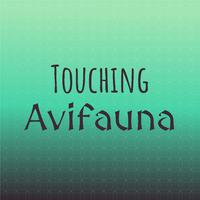 Touching Avifauna