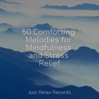 50 Comforting Melodies for Mindfulness and Stress Relief