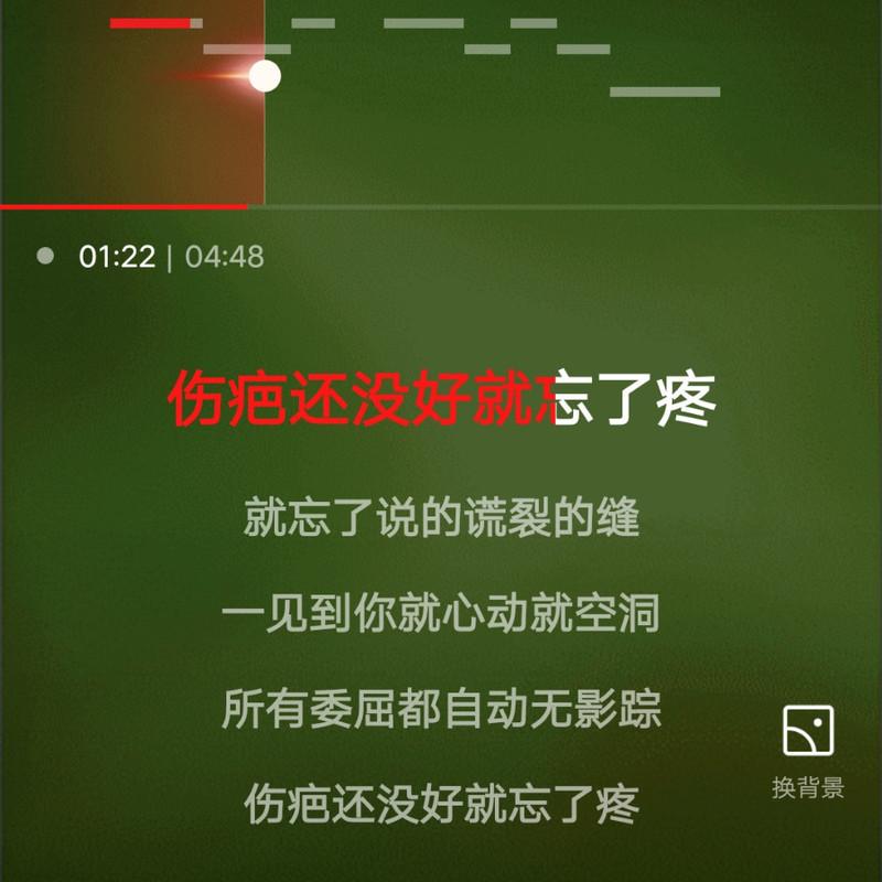 真心真意过一生封面