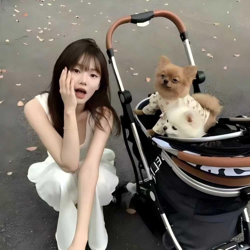 侧脸 (DJ版)封面