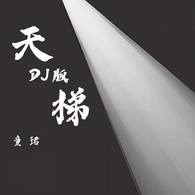 天梯 (DJ版伴奏)封面