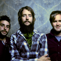 Band of Horses