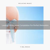 Leading White Noise Compilation For Perfect Relaxation