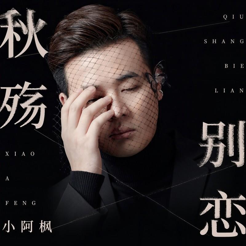 秋殇别恋(DJ版)封面
