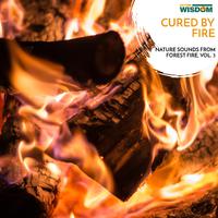 Cured by Fire - Nature Sounds from Forest Fire, Vol. 3